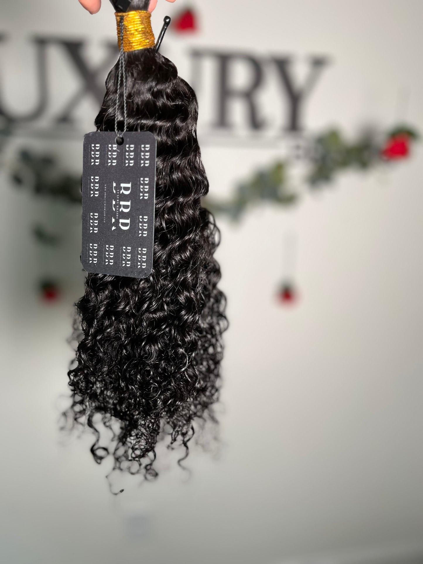 Burmese Curly