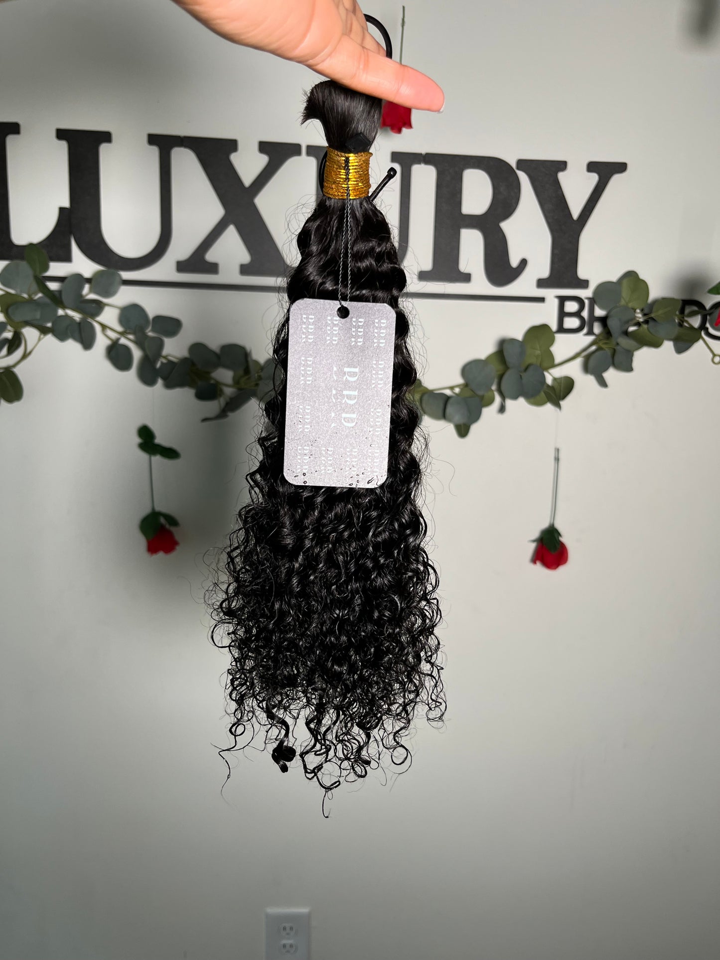 Burmese Curly