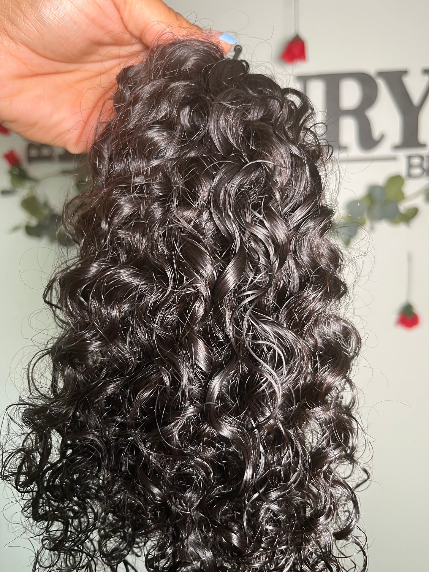 Spanish Curly