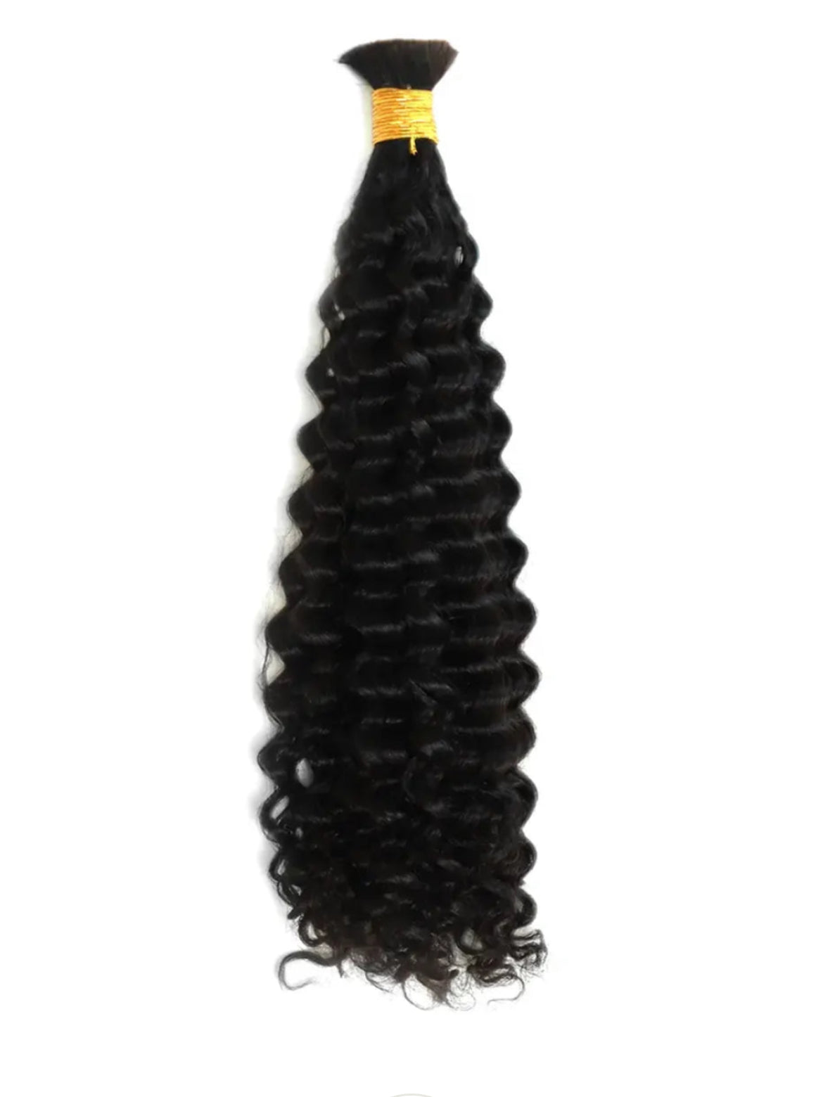 Burmese Curly