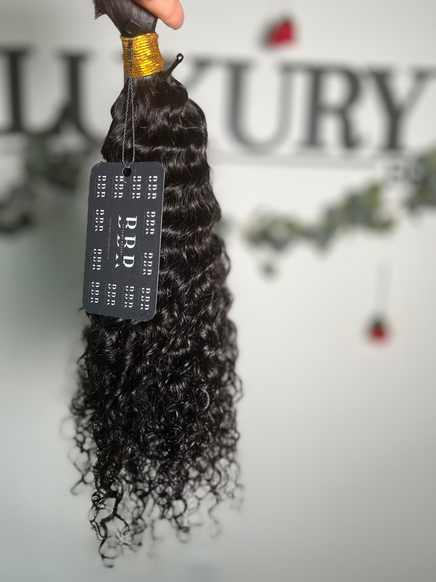 Burmese Curly