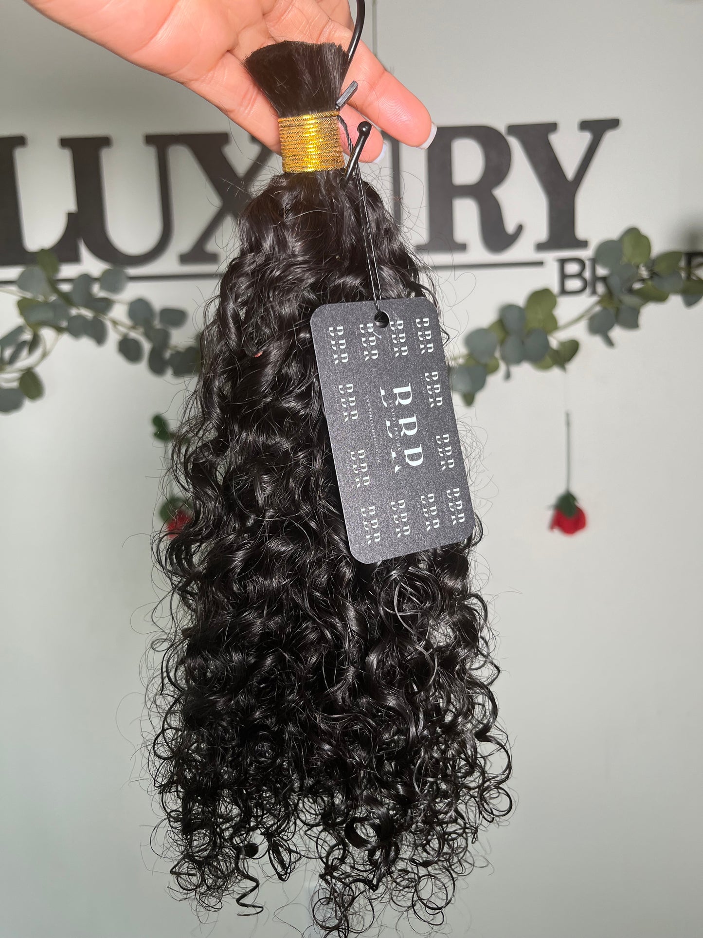 Spanish Curly
