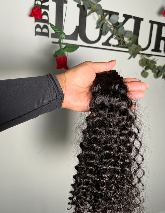 Burmese Curly
